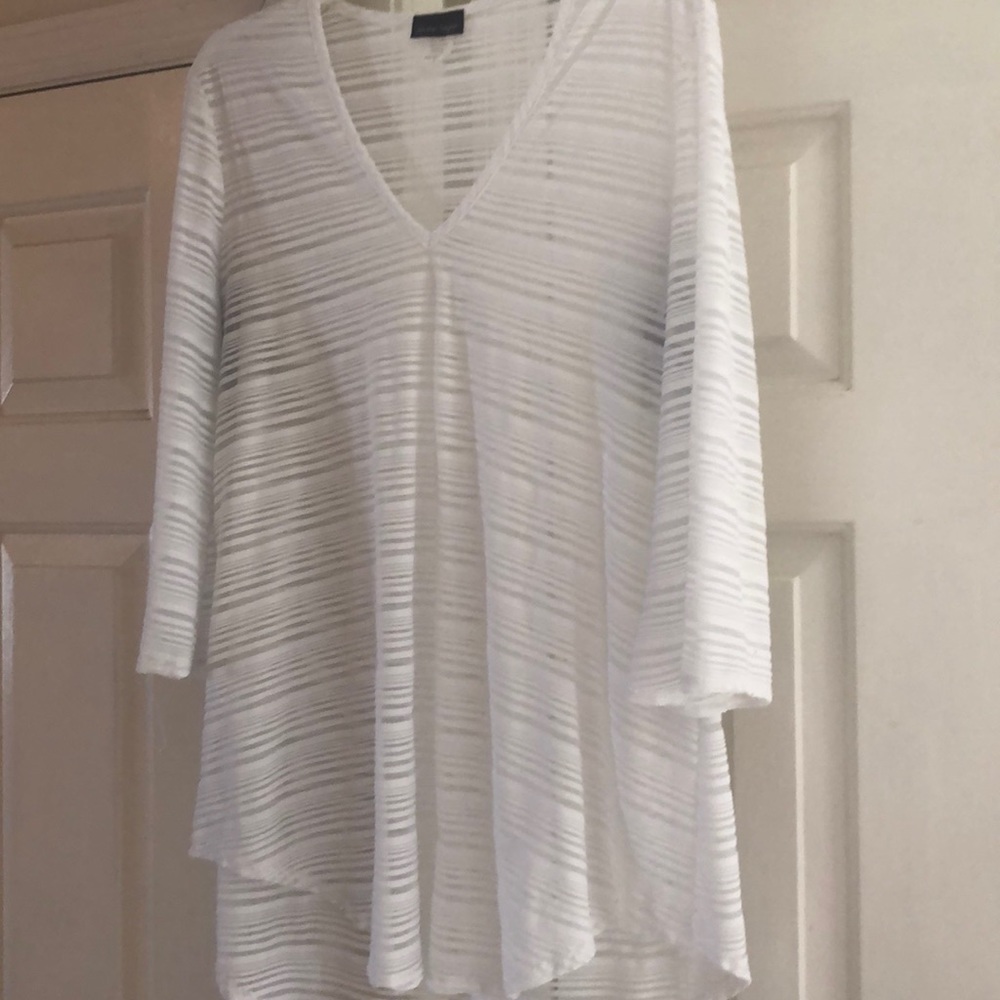 Sheer swimsuit coverup or tunic